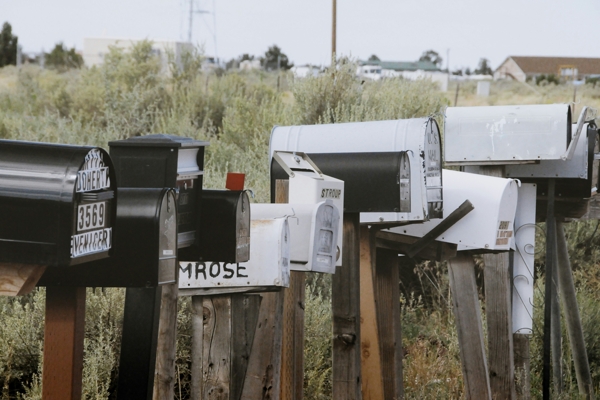 Newsletter