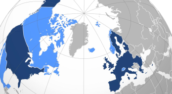 Monsieur Fou, Projection of the Transatlantic Free Trade Area.